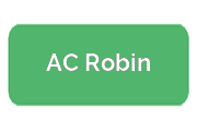 Ремонт экшен-камер AC Robin