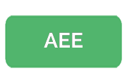 Ремонт экшен-камер AEE