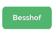 Ремонт гироскутеров Besshof