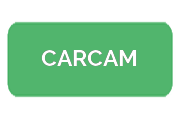 Ремонт гироскутеров CARCAM