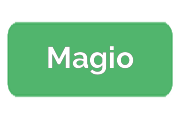 Ремонт парогенераторов Magio