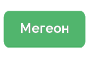 Ремонт тепловизоров Мегеон
