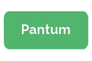 Ремонт Pantum
