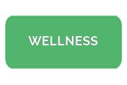 Ремонт электросамокатов WELLNESS