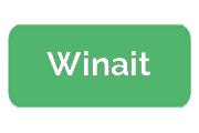 Ремонт фотоаппаратов Winait